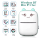 Мини термопринтер (mini thermal printer)