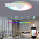 Smart Ceiling (светильник потолочный) 2.4 G-30см RGB регулируемый