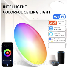Smart Ceiling (светильник потолочный) 2.4 G-30см RGB регулируемый