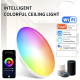 Smart Ceiling (светильник потолочный) 2.4 G-30см RGB регулируемый